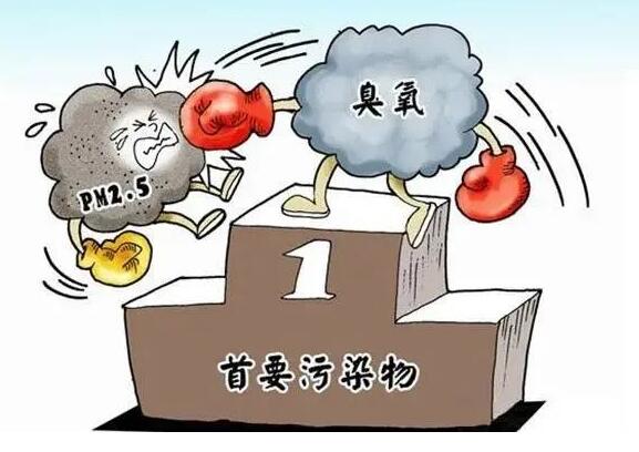 臭氧的：